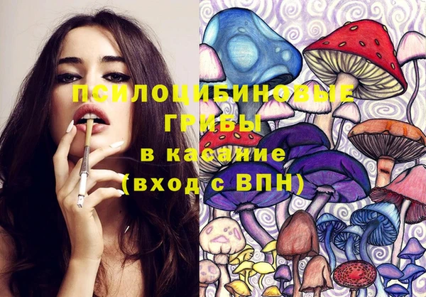 МДПВ Алзамай