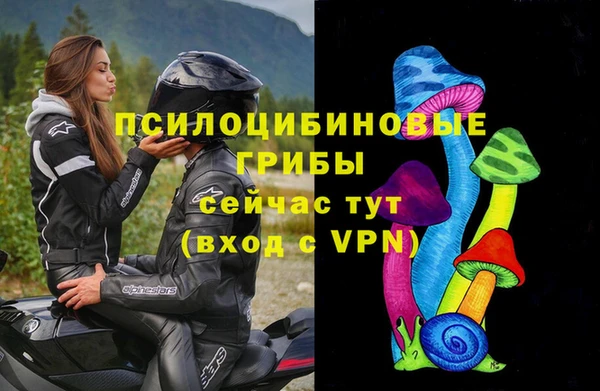 МДПВ Алзамай